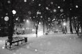 Monochrome winter night shot in centre of Poltava, Ukraine