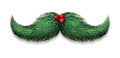 Winter Mustache Decoration Royalty Free Stock Photo