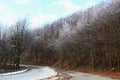 Winter naked broadleaf forest gently sprayed with light snow during winter season, around mountain asphalt road