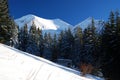 Winter in National Park of Rodnei Mountains Royalty Free Stock Photo