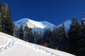 Winter in National Park of Rodnei Mountains