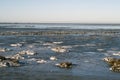 Winter National Park Wadden Sea