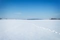 Winter natural landscape covered with snow