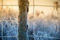 Nature closeup macro, wire fence in frost