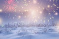 Winter nature landscape with festive lights for new year. Christmas at night with fireworks in dark sky