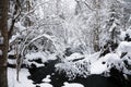 Forest river in a snow-covered forest in Karelia, Russia Royalty Free Stock Photo