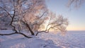 Winter nature landscape in frosty clear morning. Amazing snowy trees on shore of ice lake covered by snow in sunlight