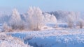 Winter nature landscape in the frosty morning. Amazing winter a snowy scene in the sunshine Royalty Free Stock Photo