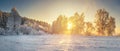 Winter nature landscape. Morning winter scene. Panorama with frosty trees in sunlight. Sunbeams through snowy trees. Royalty Free Stock Photo