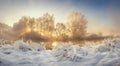 Winter nature landscape at sunrise. Frosty trees in morning sunlight. Christmas background. Royalty Free Stock Photo