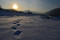 Winter nature landscape tree birch wood. Footprint human in the snow.