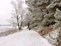 Winter nature Siberia