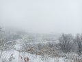 Winter nature. Snow-covered tree branches, the land is covered with a soft layer of white snow. Silence, peace.