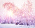 Winter nature at sunrise with pink light of sun. Colored snowflakes shining on sun. Snowy forest. Christmas background