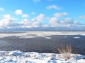Winter near lake, Lithuania Royalty Free Stock Photo