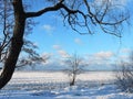 Winter near lake, Lithuania Royalty Free Stock Photo