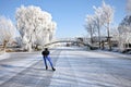 Winter in the Netherlands Royalty Free Stock Photo