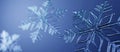Winter new year has frozen. Seasonal Wallpaper with Beautiful Frosty Snowflake. Christmas Banner with copy-space. Royalty Free Stock Photo