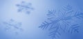 Winter new year has frozen. Seasonal Wallpaper with Beautiful Frosty Snowflake. Christmas Banner with copy-space. Royalty Free Stock Photo