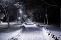 Chilly city street in winter snowing, frosty, illuminated by street lamps Royalty Free Stock Photo