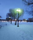 Winter night in the city. Trees in the snow and lanterns Royalty Free Stock Photo