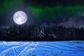 Winter night forest and Northern Lights Royalty Free Stock Photo