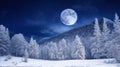 Winter night with full moon and starry sky. Royalty Free Stock Photo