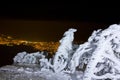 Winter night landscape