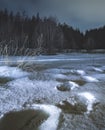 Winter night landscape in a coniferous forest with fir and pine trees and footprints in the snow in the foreground Royalty Free Stock Photo