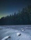 Winter night landscape in a coniferous forest with fir and pine trees and footprints in the snow in the foreground Royalty Free Stock Photo
