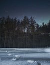 Winter night landscape in a coniferous forest with fir and pine trees and footprints in the snow in the foreground Royalty Free Stock Photo