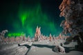 Winter night landscape with forest, moon and northern light over the forest