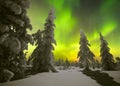 Winter night landscape with forest, moon and northern light over the forest Royalty Free Stock Photo