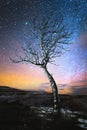 Winter night landscape lonely tree standing in a mountain lowland against the backdrop of the northern milky way and Royalty Free Stock Photo