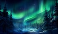 Winter night landscape, northern lights, aurora borealis, forest illustration Royalty Free Stock Photo