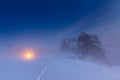 Winter night landscape with a path, fog, and a tree Royalty Free Stock Photo