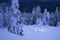 Winter night landscape with a snow igloo Royalty Free Stock Photo