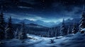 winter night landscape. snowy forest and fir branches