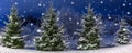 Winter night panoramic landscape. Christmas trees covered with snow. Fairy-tale snow and festive mood Royalty Free Stock Photo