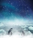 Winter night scene with penguins watching snow falling down. Christmas holiday theme Royalty Free Stock Photo