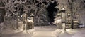 Winter night at Stadsparken in LuleÃÂ¥ Royalty Free Stock Photo