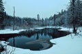 Winter nonfreezing stepped bed river in forest Royalty Free Stock Photo