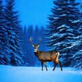 Winter Northern majestic deer in the magical winter night Winter landscape with big beautiful winter Royalty Free Stock Photo