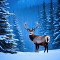 Winter Northern majestic deer in the magical winter night Winter landscape with big beautiful winter Royalty Free Stock Photo