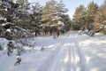 Winter in Northern Ukraine