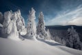 Winter in the Northern Urals