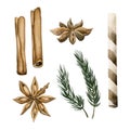 Winter objects set: cinnamon sticks, stars anise, pine branch, crispy rolled wafer stick. Watercolor illustrations