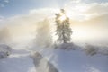 Winter old American Country landscape with rustic houses, cars and fences covered in snow Royalty Free Stock Photo