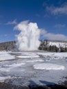 Winter Old Faithfull Royalty Free Stock Photo