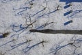 Winter old garden. Trees in the snow and beehives. Aerial Royalty Free Stock Photo